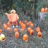 Mood's Farm Market Pumpkin Hayrides & Corn Maze photo
