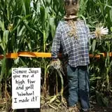 Mood's Farm Market Pumpkin Hayrides & Corn Maze photo