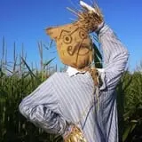 Mood's Farm Market Pumpkin Hayrides & Corn Maze photo