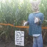 Mood's Farm Market Pumpkin Hayrides & Corn Maze photo