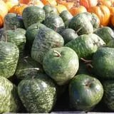 Mood's Farm Market Pumpkin Hayrides & Corn Maze photo