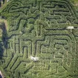 Clark Farms - Sherwood Forest photo