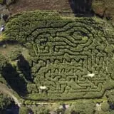 Clark Farms - Sherwood Forest photo