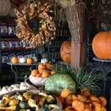 Clark Farms - Sherwood Forest photo