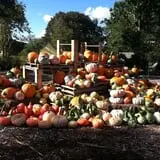 Clark Farms - Sherwood Forest photo