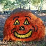 Clark Farms - Sherwood Forest photo