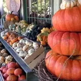 Clark Farms - Sherwood Forest photo