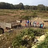 Clark Farms - Sherwood Forest photo