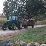 Clark Farms - Sherwood Forest photo
