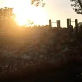 Clark Farms - Sherwood Forest photo