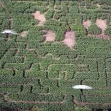 Clark Farms - Sherwood Forest photo