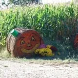 Clark Farms - Sherwood Forest photo
