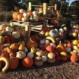 Clark Farms - Sherwood Forest photo