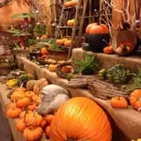 Clark Farms - Sherwood Forest photo
