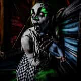 The 13th Acre photo