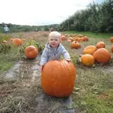 Halloween & Spirits Festival at Weed Orchards & Winery photo