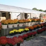 Family Fun at Woodside Nursery photo
