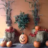 Bonadeo Farms photo