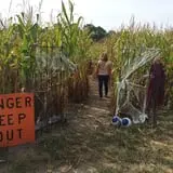 Bonadeo Farms photo