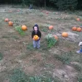 Bonadeo Farms photo