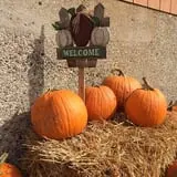 Bonadeo Farms photo