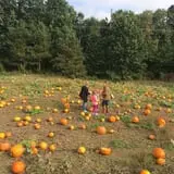Bonadeo Farms photo