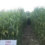 Bonadeo Farms photo