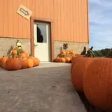 Bonadeo Farms photo