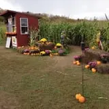 Nessralla Farm Corn Maze & Hayride photo