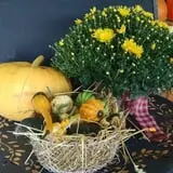 Nessralla Farm Corn Maze & Hayride photo