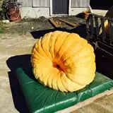 Nessralla Farm Corn Maze & Hayride photo