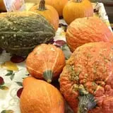 Nessralla Farm Corn Maze & Hayride photo