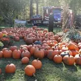 Nessralla Farm Corn Maze & Hayride photo