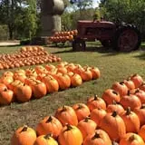 Nessralla Farm Corn Maze & Hayride photo
