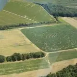 Nessralla Farm Corn Maze & Hayride photo