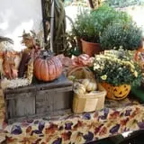 Nessralla Farm Corn Maze & Hayride photo