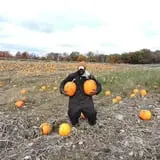 Maynard Farms & Orchards photo