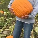 Maynard Farms & Orchards photo