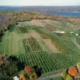 Maynard Farms & Orchards photo