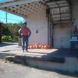 Maynard Farms & Orchards photo