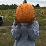 Maynard Farms & Orchards photo