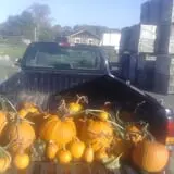 Maynard Farms & Orchards photo