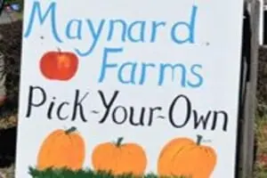 Maynard Farms & Orchards