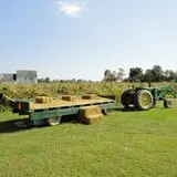 Filasky's Produce U-Pick Pumpkins & Fall Activities photo