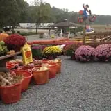 Filasky's Produce U-Pick Pumpkins & Fall Activities photo
