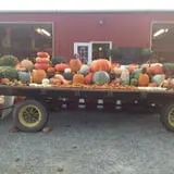 Filasky's Produce U-Pick Pumpkins & Fall Activities photo