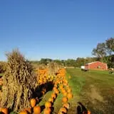 Filasky's Produce U-Pick Pumpkins & Fall Activities photo