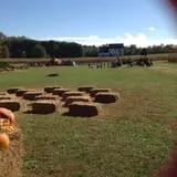 Filasky's Produce U-Pick Pumpkins & Fall Activities photo