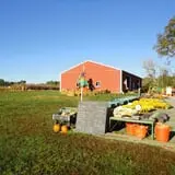 Filasky's Produce U-Pick Pumpkins & Fall Activities photo