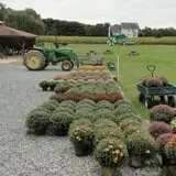 Filasky's Produce U-Pick Pumpkins & Fall Activities photo